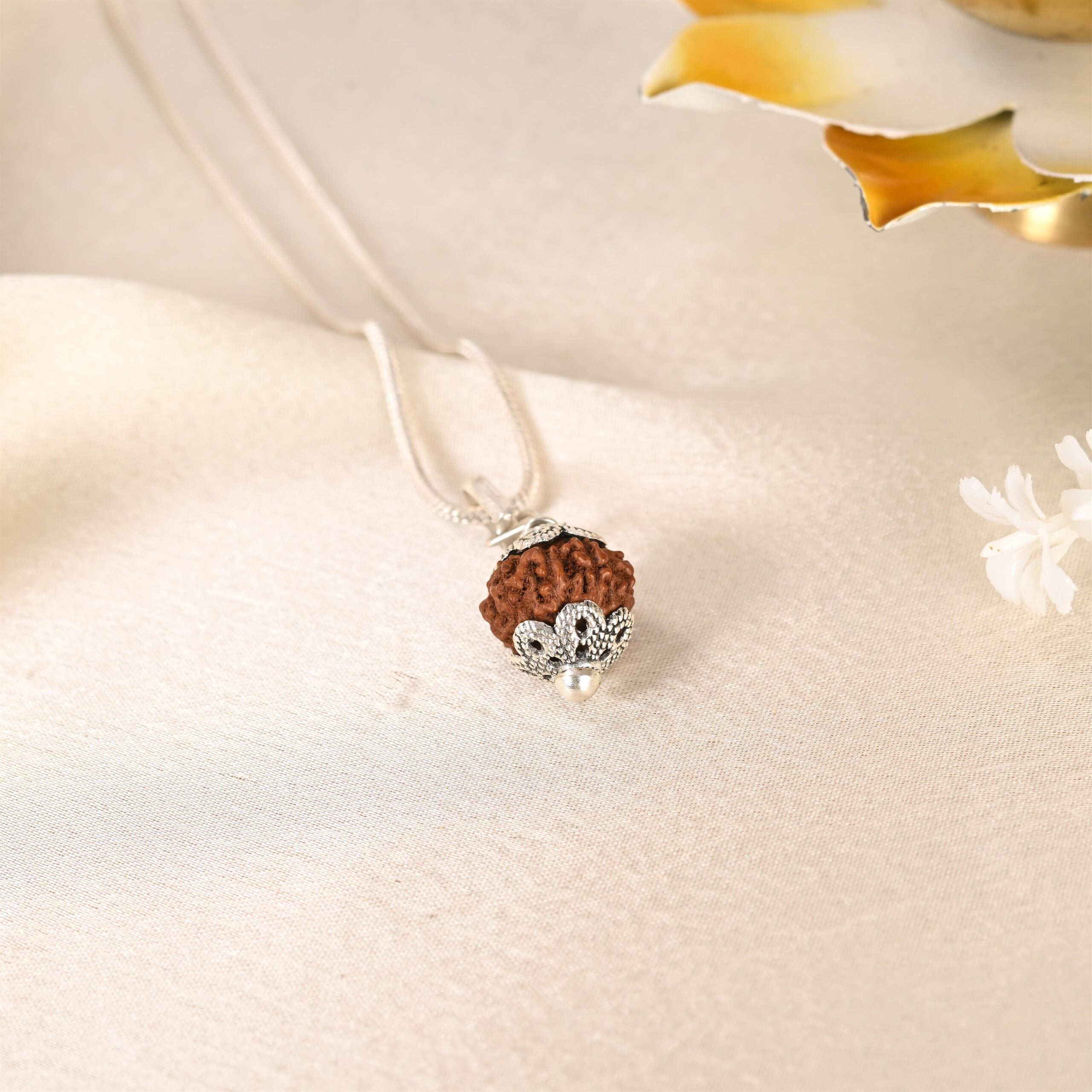 12 Face Rudraksha (Indonesian)